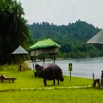 Profile image of tour guide Nato Simchimba