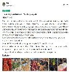 Profile image of tour guide Michal David