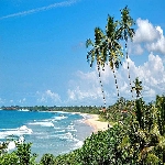 Profile image of tour guide Andrew Noyahr