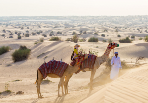 camel desert trip in Dubai