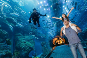 dubai aquarium underwater zoo