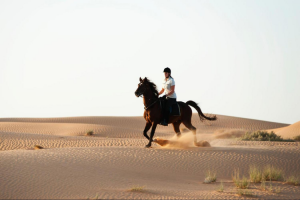 Horse riding in Dubai Desert