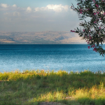 <img src="https://www.booqify.com/wp-content/uploads/2017/04/booqify-logo-green-50.png" title="1 A virtual tour Sea Of Galilee Holy sites"> Virtual tour Sea Of Galilee Holy sites</a>